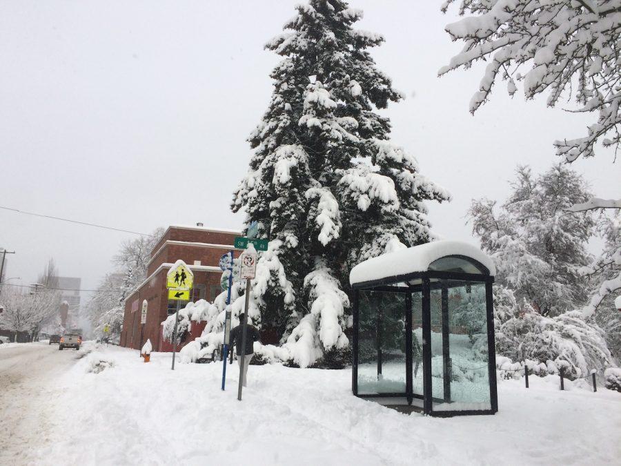 The bus stop in front of Lincoln is covered in snow on Jan. 11.