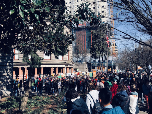 Students walk out in March 2019 for worldwide climate strikes accumulating a crowd of over 1000.