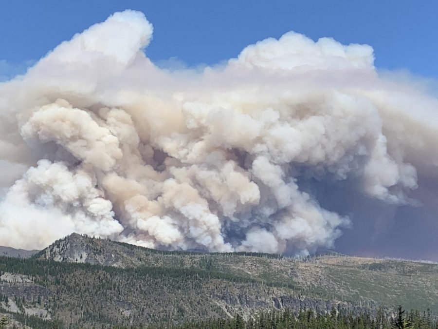 Views of the Lionshead fire, started by lightning, which covers all of the Mt. Jefferson wilderness area and Camp Sherman. Cardinal Times staff member Hadley Steele camped near the fire and was forced to evacuate.