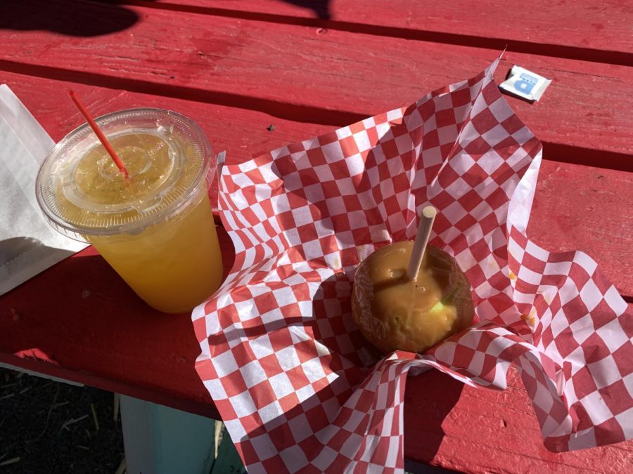 Pictured above is the peach lemonade and caramel apple from Topaz Farm. The food at this pumpkin patch was a perfect mid-day snack.