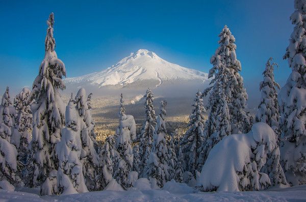 View of Mt. Hood Meadows from Timberline. With the start of ski and snowboarding season, some Lincoln team members are worried about the loosening of COVID-19 restrictions.