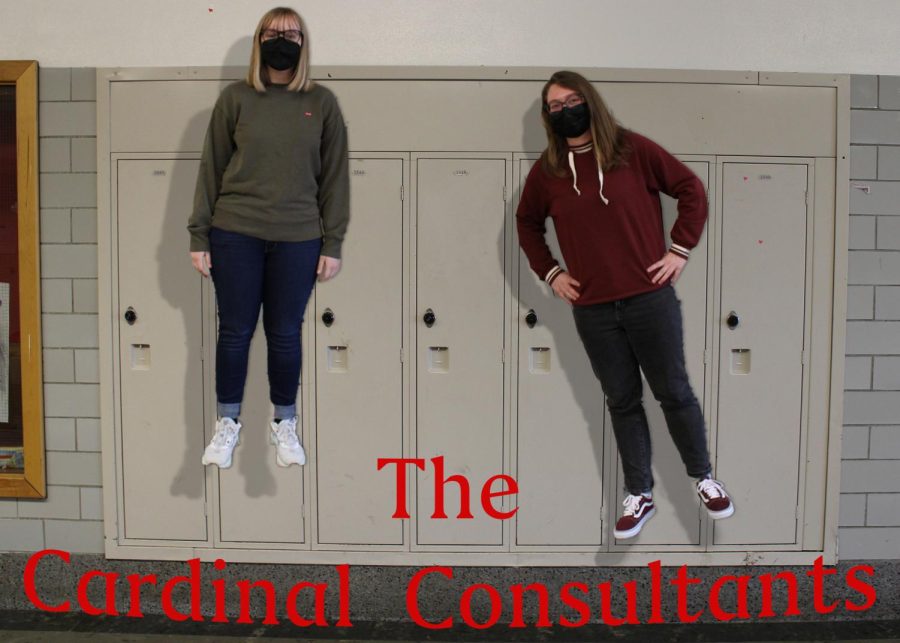 Reporters Anna Klein and Mary Carney answer Lincoln students questions in the third edition of Ask the Cardinal Consultants! Email your questions to thecardinalconsultants@gmail.com to be featured in the next addition of the column (please email, it’s anonymous).