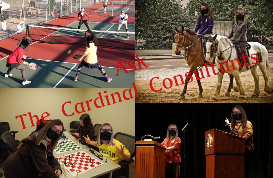 The Cardinal Consultants demonstrate alternate extracurricular activities for people who get cut from no cut sports such as pickleball, equestrian, chess, and debate.