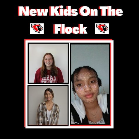 New Kids on the Flock Podcast: Episode 7
