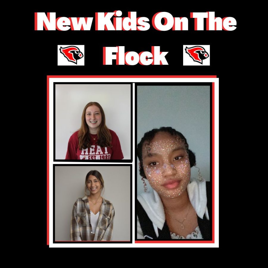 New+Kids+on+the+Flock+Podcast%3A+Episode+7