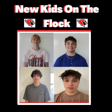 New Kids on the Flock Podcast: Episode 5