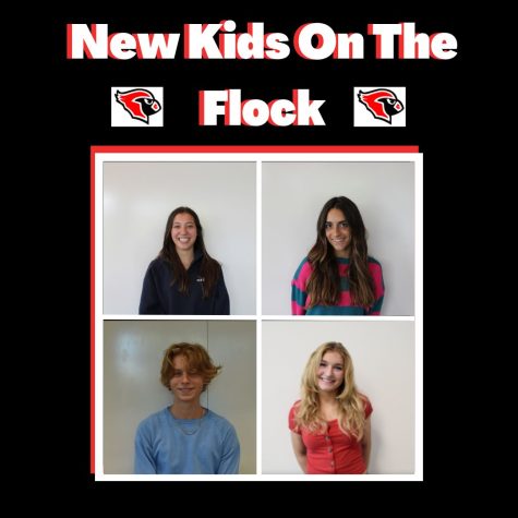 New Kids on the Flock Podcast: Episode 2