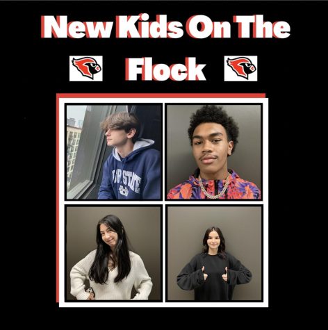 New Kids on the Flock Podcast: Episode 6