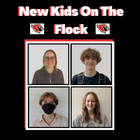 New Kids on the Flock Podcast: Episode 9