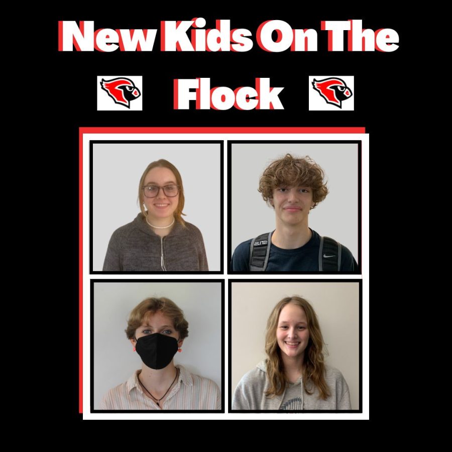 New+Kids+on+the+Flock+Podcast%3A+Episode+9