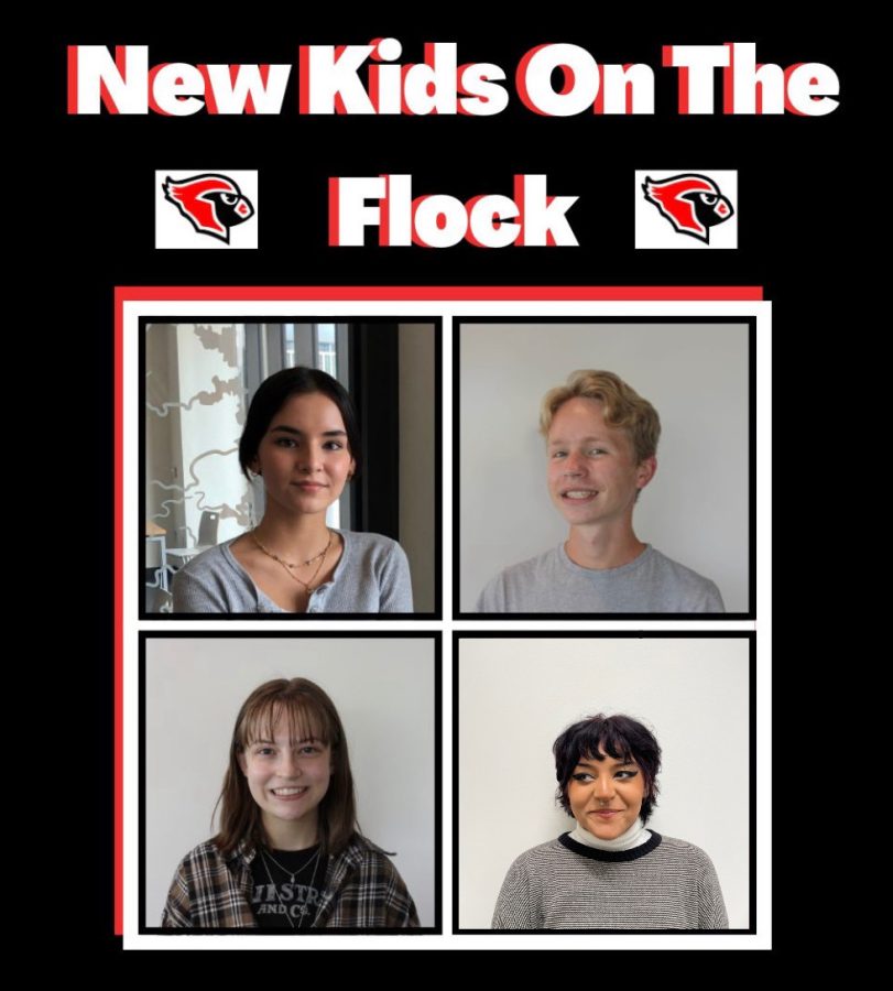 New+Kids+on+the+Flock+Podcast%3A+Episode+4
