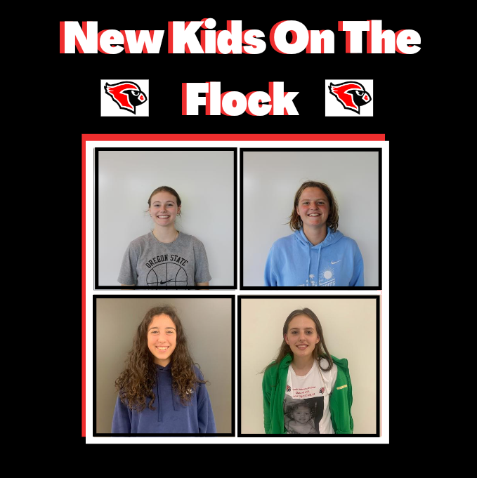 New Kids on the Flock Podcast: Episode 3