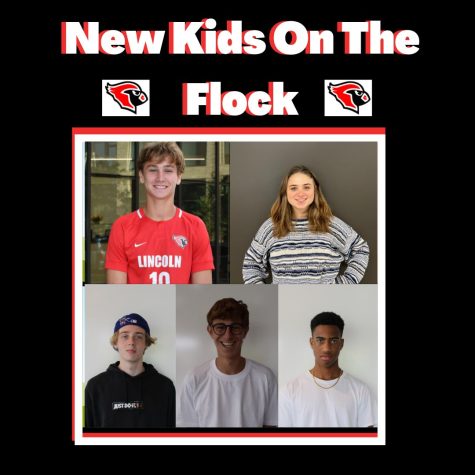 New Kids on the Flock Podcast: Episode 1