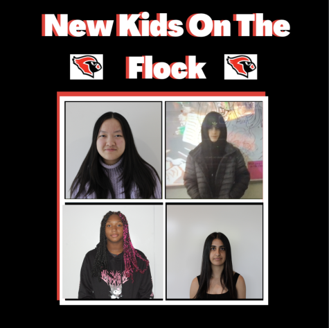 New Kids on the Flock Podcast: Episode 10