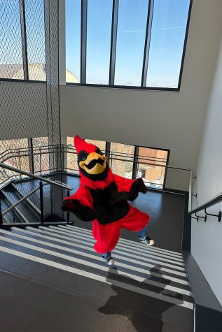 The Cardinal falls gracefully down the stairs after being tripped by a disgruntled student. Email us your questions at thecardinalconsultants@gmail.com.