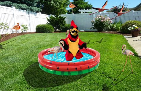The cardinal demonstrates how to throw a house party, featuring glitter all over the room and pink flamingos in the pool. 