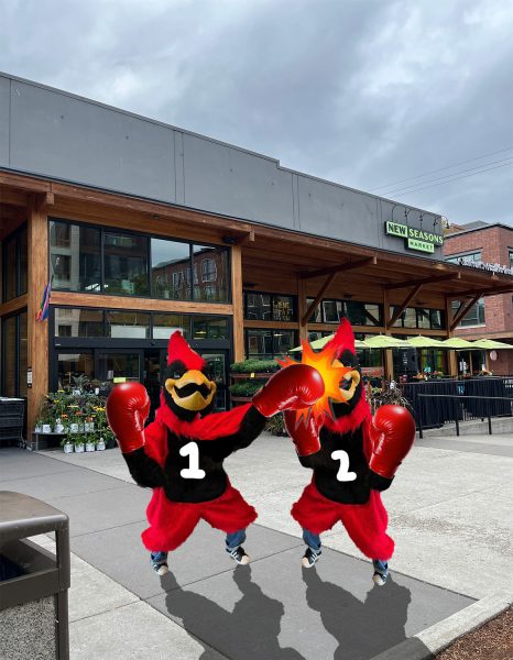 The Cardinal Consultants get into a fight in a New Seasons parking lot. If you’re the kind of person who likes to get advice from people who dont have drivers licenses, please email us at thecardinalconsultants@gmail.com.