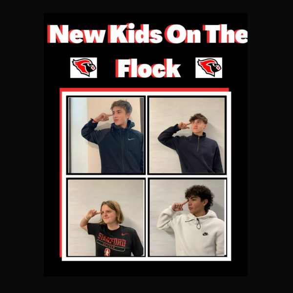 New Kids on the Flock podcast featuring Merlin Danzmayr and Jon Amunarrez