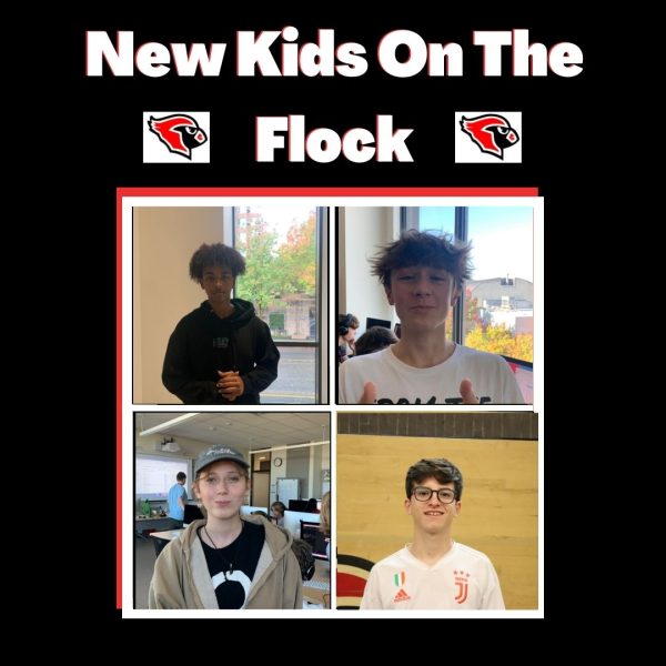 New Kids on the Flock featuring Ayman Ali and Filippo Fraccaso