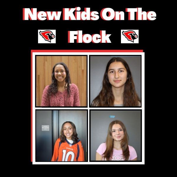 New Kids on the Flock featuring Alaina Gordon and Kendra McPherson
