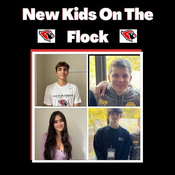 New Kids on the Flock
