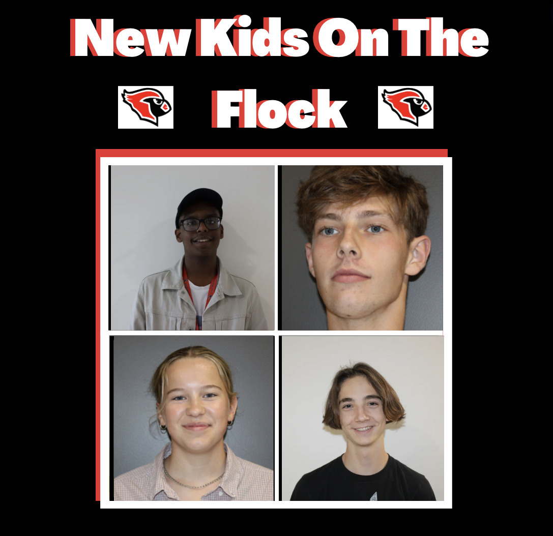 New Kids on the Flock podcast featuring Simon Gouffir and Mo Damtew