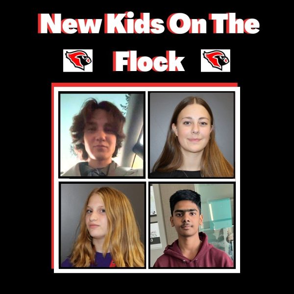 New Kids on the Flock Podcast featuring Toby Platt and Fattah Najam
