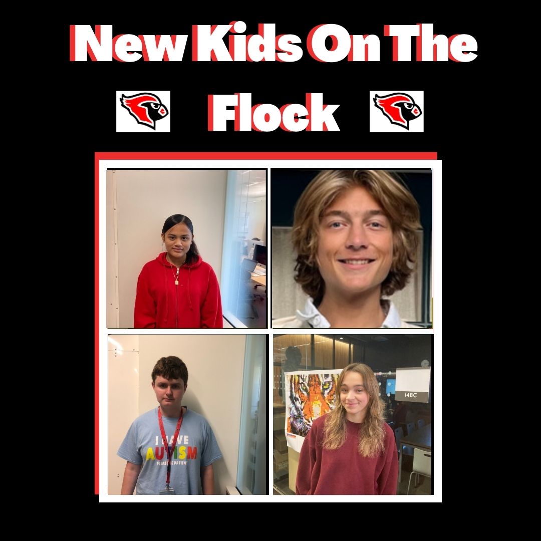 New Kids on the Flock with Finn and Chris!