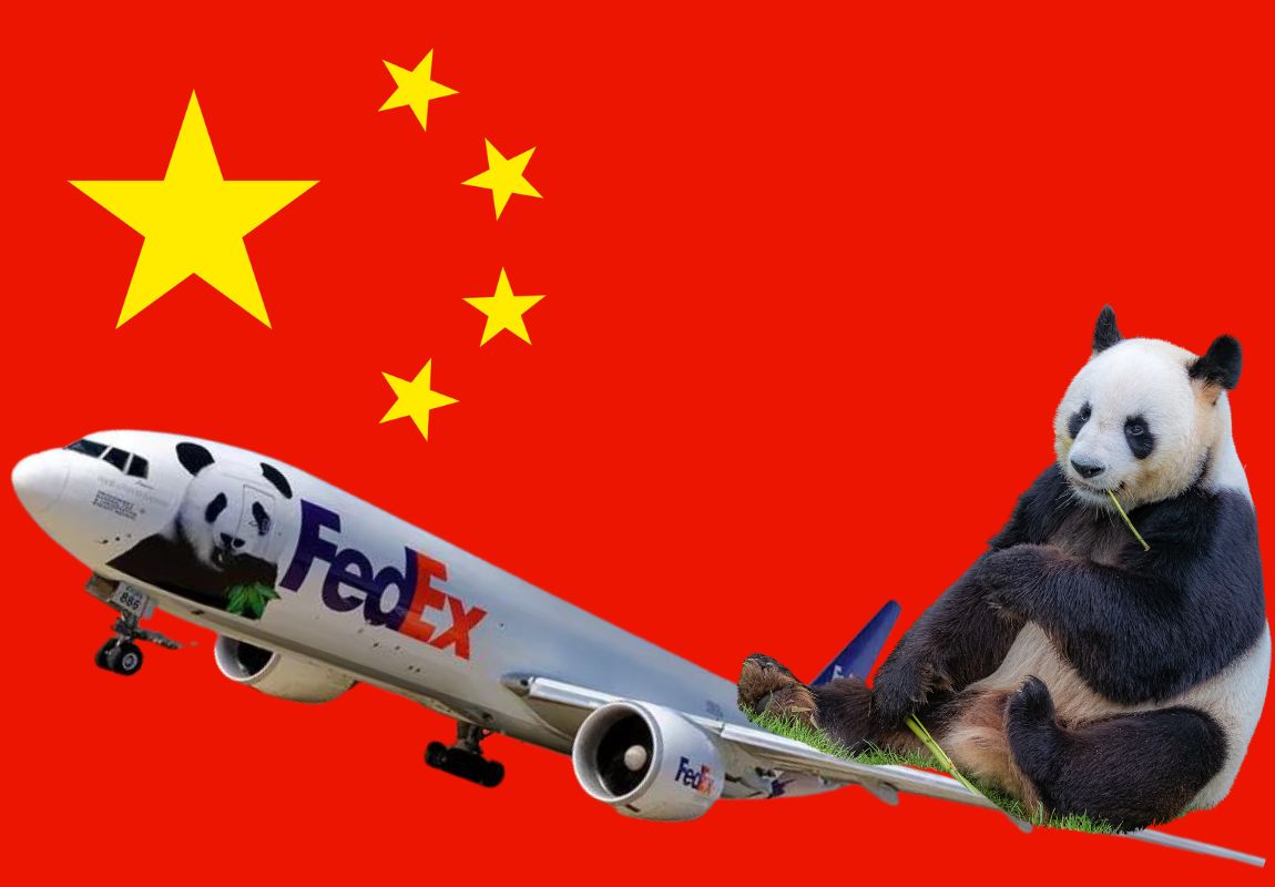 Pandas depart on a FedEX plane back to China.