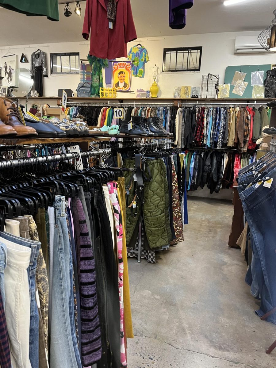 Students shop at thrift stores in order to be environmentally friendly. 