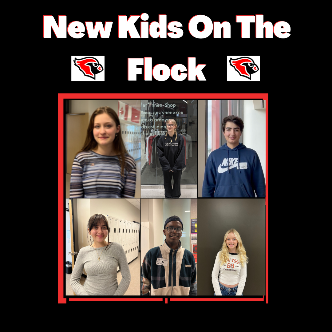 New Kids on the Flock featuring Mikel Eguiguren, Mattea Maehs and Emmeline Berthelin