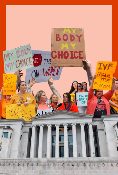 Since Roe v. Wade was overturned by the Supreme Court, many people have visited their state’s court houses to protest and advocate for the protection of reproductive rights. 