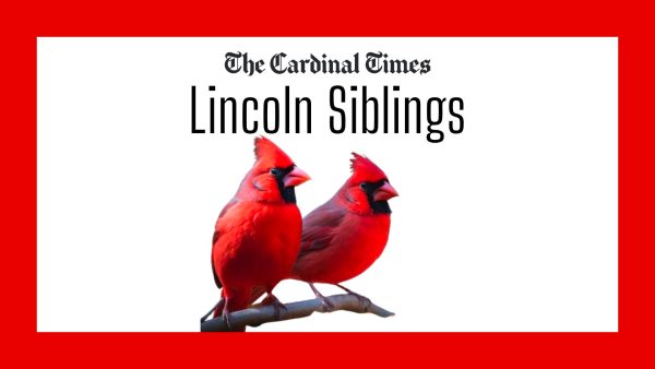 Learn more about siblings at Lincoln!