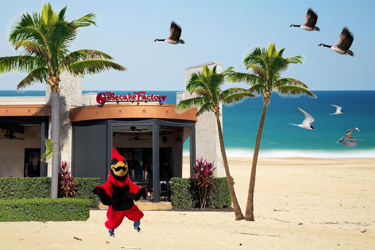 Hit with a bad case of senioritis, the Cardinal takes off to open a Cheesecake Factory in Bora Bora and write poetry. 