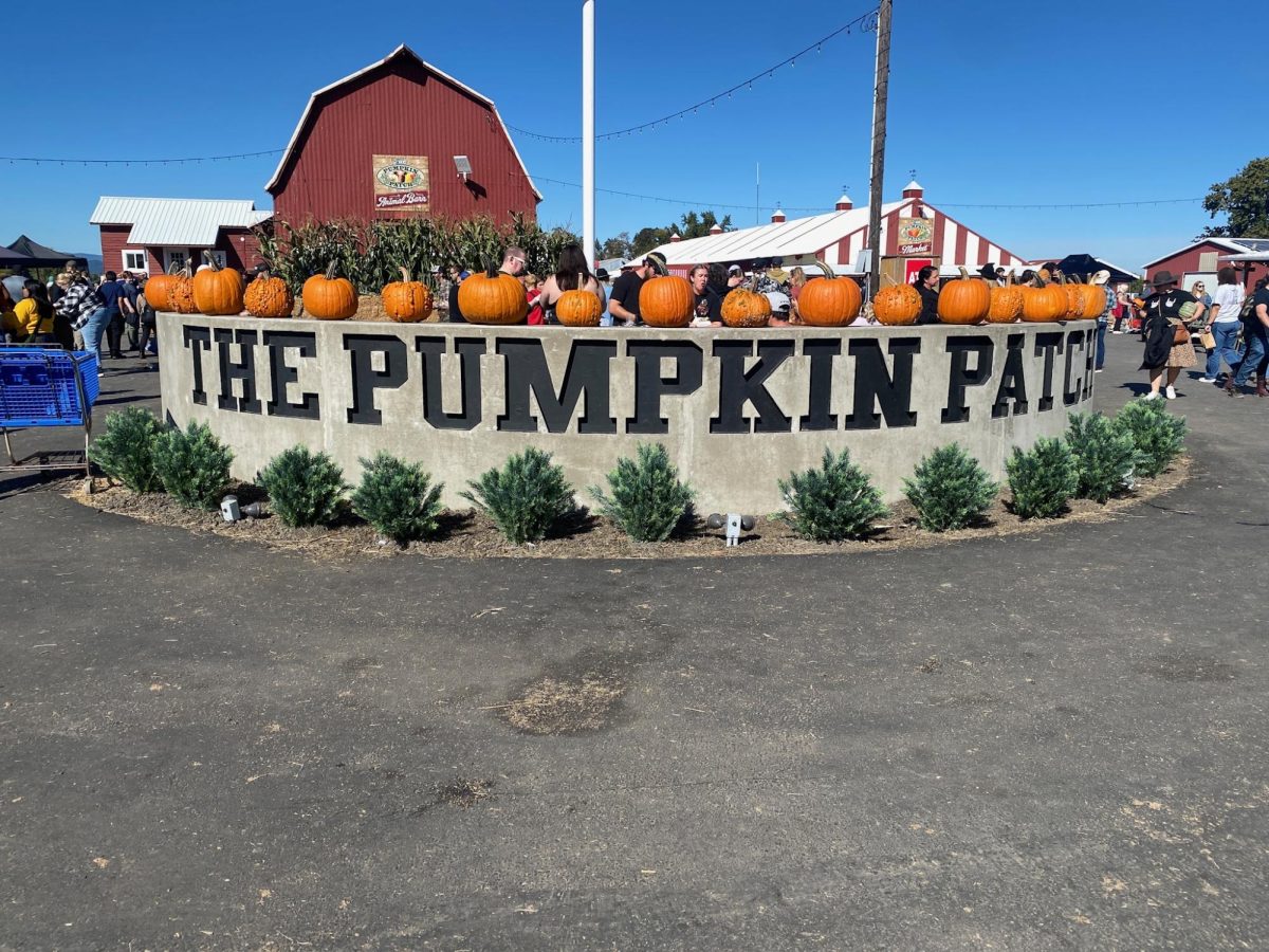 The Pumpkin Patch is a massive farm with many options for food and activities. However, beware of the crowds and the extensive lines for food.