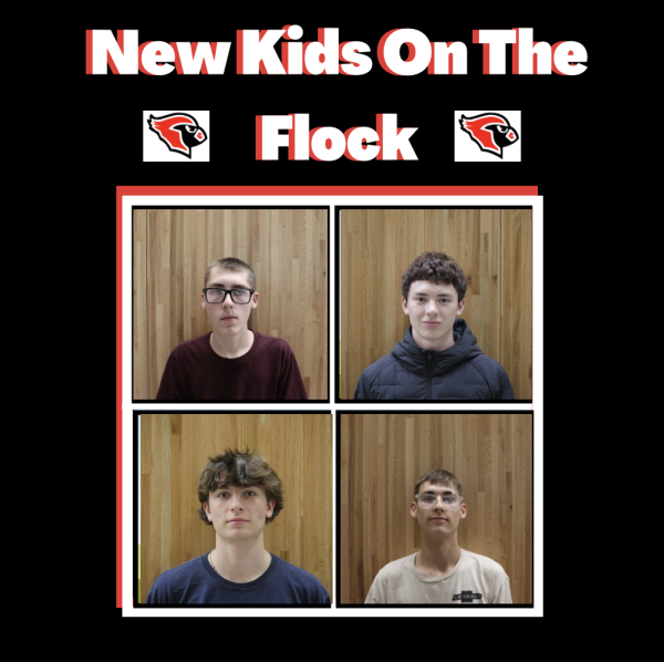 Podcast: New Kids on the Flock featuring Anthony Adams and Bradley Adams