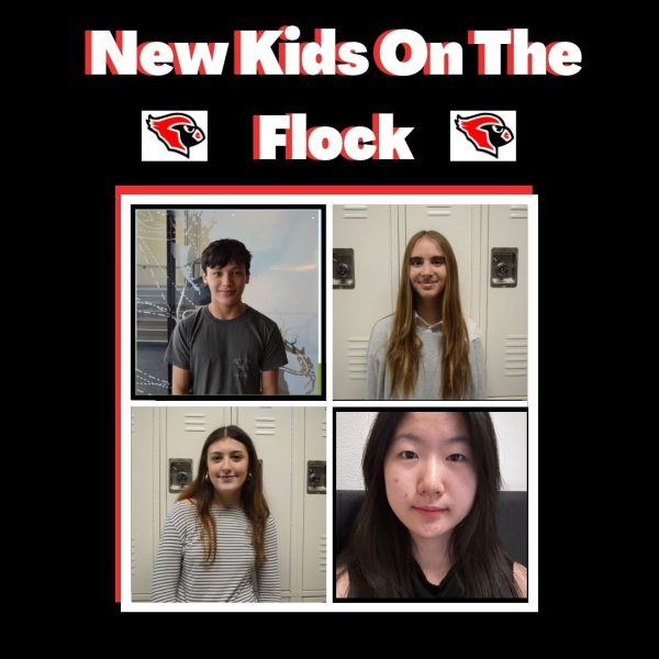 Podcast: New Kids on the Flock featuring Issac Leong and Eva Yang