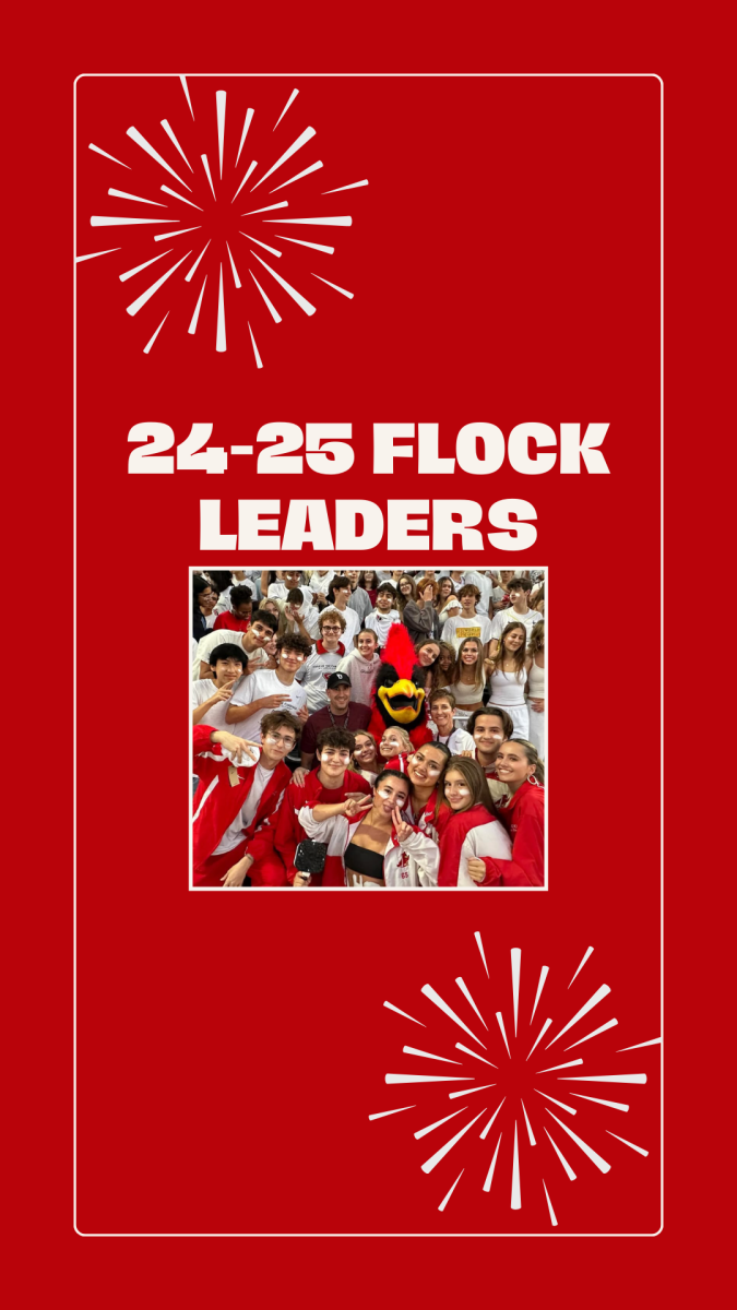 Video: Flock leaders: The 2024-2025 preview