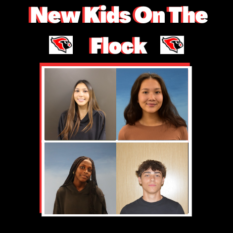 Podcast: New Kids on the Flock featuring Gabriel Bobaord and Ana Segelke