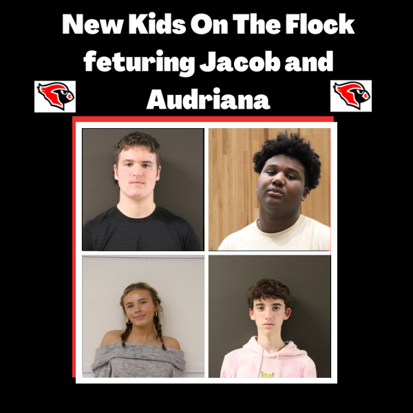 Podcast:  New Kids on the Flock featuring Jacob Holbert and Audriana Stanchina