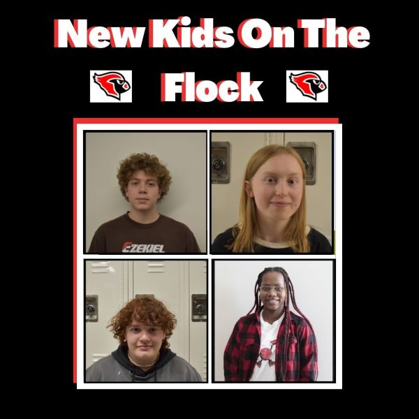 Podcast: New Kids on the Flock featuring Maddie Lightfoot and Ari Stien