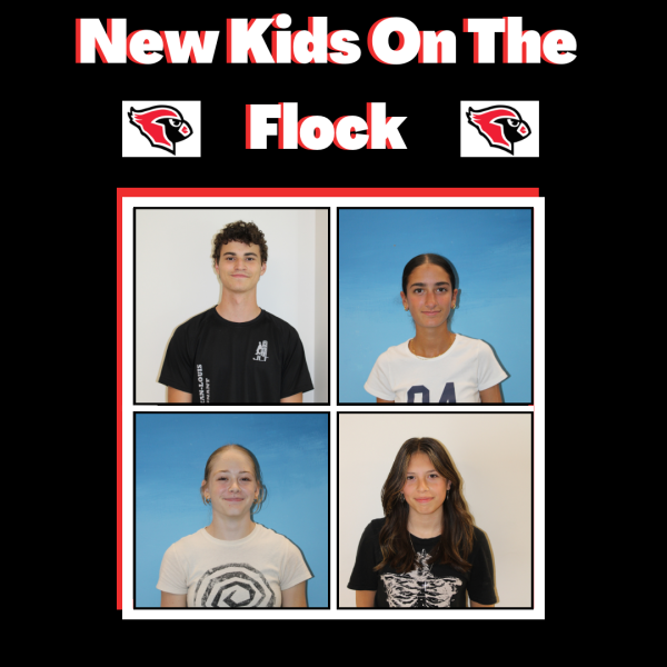 Podcast: New Kids on the Flock featuring Suyanna Henderson and Elouan Leherpeur