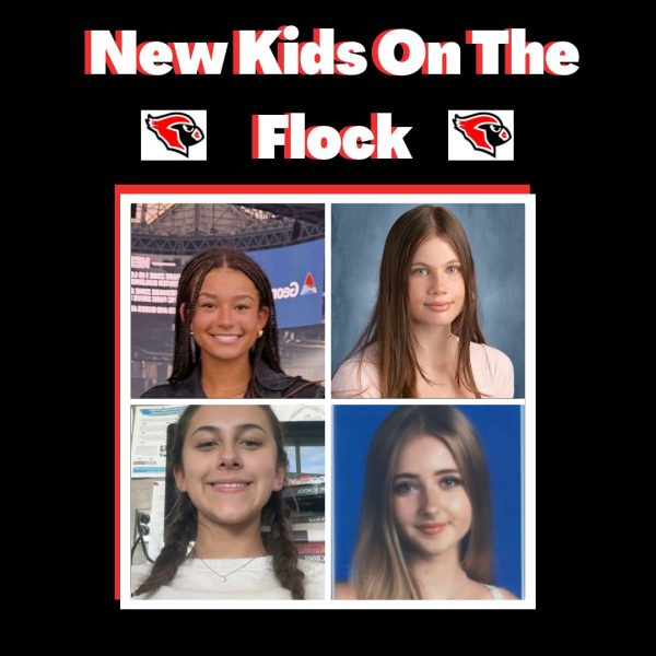 Podcast: New Kids on the Flock featuring Juliette Azizi and Djuna Martin