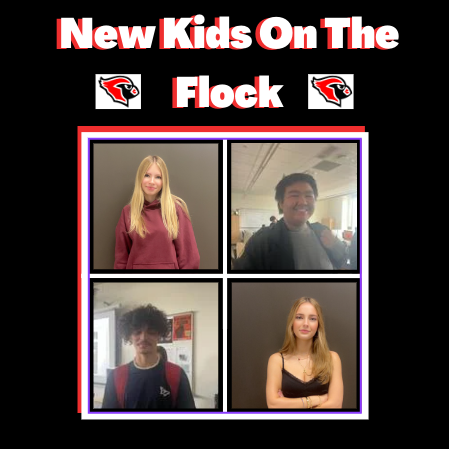 Podcast: New Kids on the Flock featuring Braxton Smith and Bagus Wijaya Kusuma