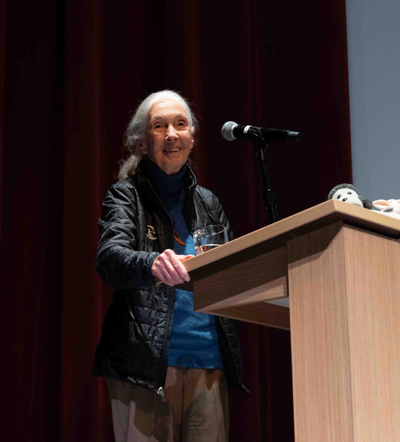 Jane Goodall spent decades studying the chimpanzees in Gombe National Park in Tanzania. Her work debunked the widely shared belief that animals were unintelligent and separate from the human species.