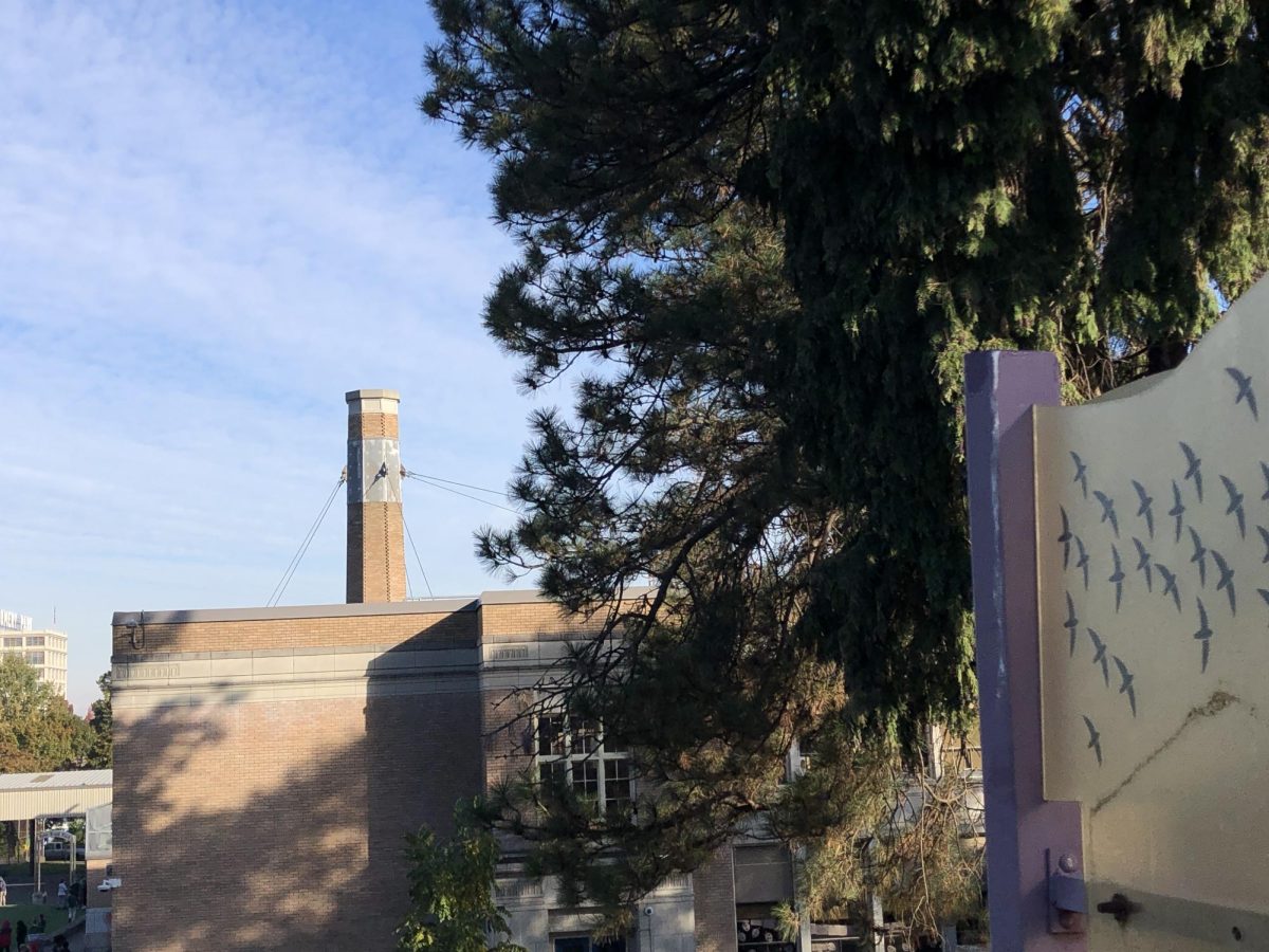 The Chapman chimney now stands empty because the swifts no longer use it.
By Sky Colley