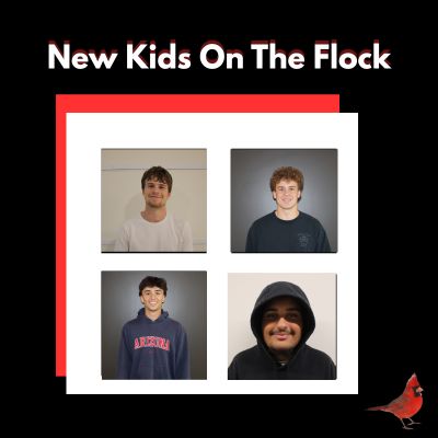 New Kids on the Flock featuring Mikey Ross and Karl Pavic