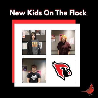 Podcast: New Kids on the Flock featuring Sid Olexuic