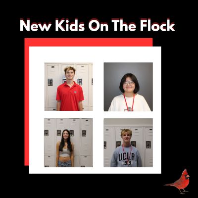 Podcast: New kids on the flock featuring: Cormac Blackwell and Sunny Wang