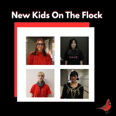 Podcast: New Kids on the Flock featuring Valeria Yi-Ting and Merlin Danzmayr.